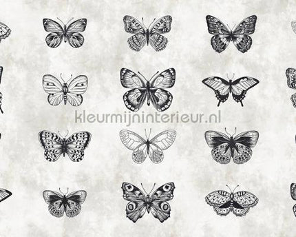 AS Creation Walls by Patel dd110361 | Bestellen bij https://www.kleurmijninterieur.nl/
