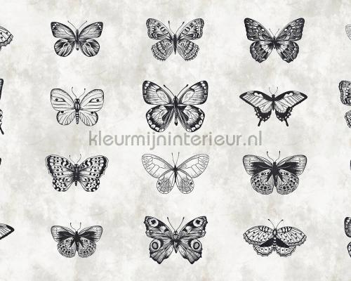 AS Creation Walls by Patel dd110361 | Bestellen bij https://www.kleurmijninterieur.nl/