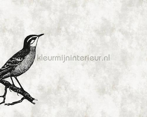 AS Creation Walls by Patel dd110366 | Bestellen bij https://www.kleurmijninterieur.nl/