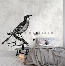 AS Creation Walls by Patel dd110366 | Bestellen bij https://www.kleurmijninterieur.nl/