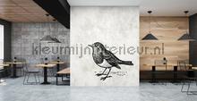 AS Creation Walls by Patel dd110371 | Bestellen bij https://www.kleurmijninterieur.nl/