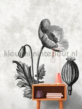AS Creation Walls by Patel dd110376 | Bestellen bij https://www.kleurmijninterieur.nl/