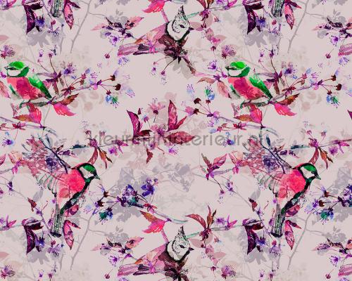 AS Creation Walls by Patel dd110226 | Bestellen bij https://www.kleurmijninterieur.nl/
