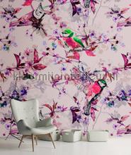 AS Creation Walls by Patel dd110226 | Bestellen bij https://www.kleurmijninterieur.nl/