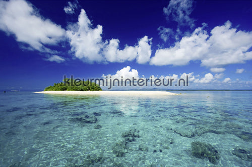 AS Creation XXL Wallpaper 2 470-330 | Bestellen bij https://www.kleurmijninterieur.nl/