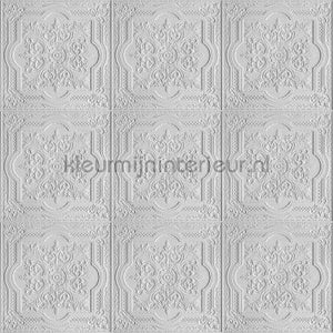 AS Creation Walls by Patel dd110756 | Bestellen bij https://www.kleurmijninterieur.nl/