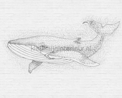 AS Creation Walls by Patel dd110476 | Bestellen bij https://www.kleurmijninterieur.nl/