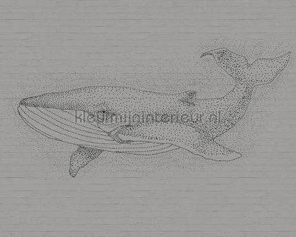 AS Creation Walls by Patel dd110481 | Bestellen bij https://www.kleurmijninterieur.nl/