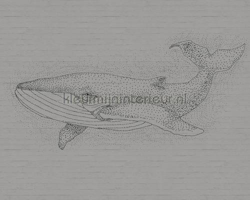 AS Creation Walls by Patel dd110481 | Bestellen bij https://www.kleurmijninterieur.nl/
