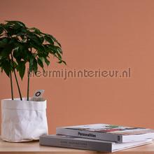 AS Creation Colorful World 39097-3 | Bestellen bij https://www.kleurmijninterieur.nl/
