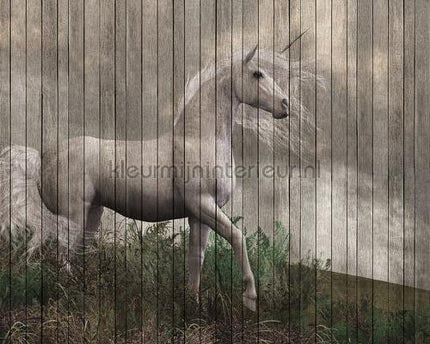 AS Creation Walls by Patel 2 dd113957 | Bestellen bij https://www.kleurmijninterieur.nl/