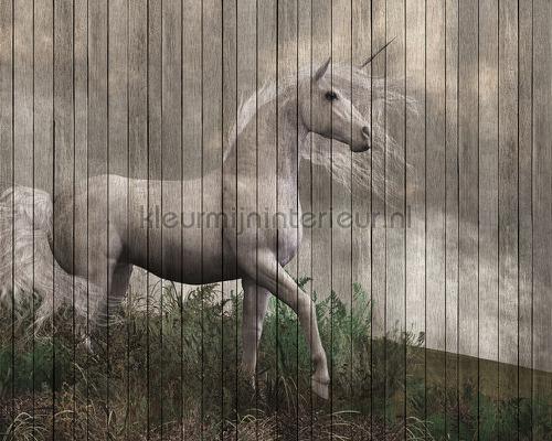 AS Creation Walls by Patel 2 dd113957 | Bestellen bij https://www.kleurmijninterieur.nl/
