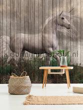 AS Creation Walls by Patel 2 dd113957 | Bestellen bij https://www.kleurmijninterieur.nl/
