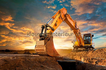 AS Creation XXL Wallpaper 2 470-348 | Bestellen bij https://www.kleurmijninterieur.nl/