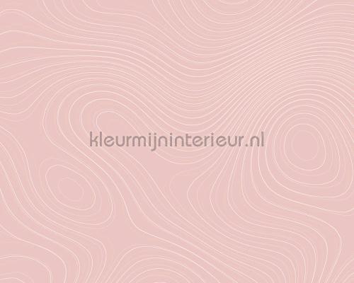 AS Creation Walls by Patel dd110846 | Bestellen bij https://www.kleurmijninterieur.nl/