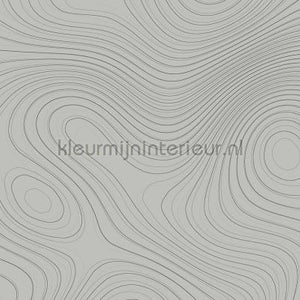 AS Creation Walls by Patel dd110851 | Bestellen bij https://www.kleurmijninterieur.nl/