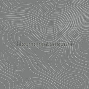 AS Creation Walls by Patel dd110856 | Bestellen bij https://www.kleurmijninterieur.nl/