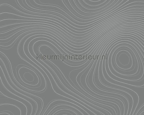 AS Creation Walls by Patel dd110856 | Bestellen bij https://www.kleurmijninterieur.nl/