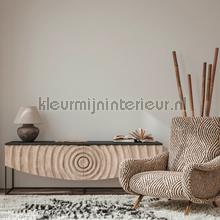 AS Creation Maison Charme 390683 | Bestellen bij https://www.kleurmijninterieur.nl/