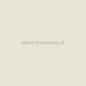 AS Creation Retro chiq 30688-1 | Bestellen bij https://www.kleurmijninterieur.nl/