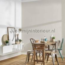 AS Creation Retro chiq 30688-2 | Bestellen bij https://www.kleurmijninterieur.nl/
