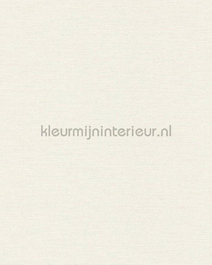AS Creation Retro chiq 30689-1 | Bestellen bij https://www.kleurmijninterieur.nl/