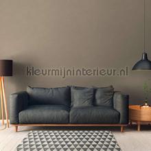 AS Creation Retro chiq 30689-3 | Bestellen bij https://www.kleurmijninterieur.nl/