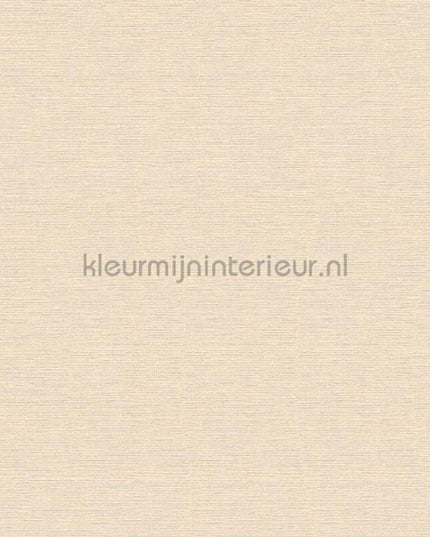 AS Creation Retro chiq 30689-6 | Bestellen bij https://www.kleurmijninterieur.nl/