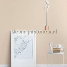 AS Creation Retro chiq 30689-6 | Bestellen bij https://www.kleurmijninterieur.nl/