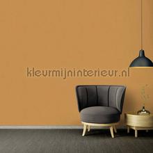 AS Creation Retro chiq 37178-4 | Bestellen bij https://www.kleurmijninterieur.nl/