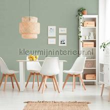 AS Creation Retro chiq 37178-8 | Bestellen bij https://www.kleurmijninterieur.nl/