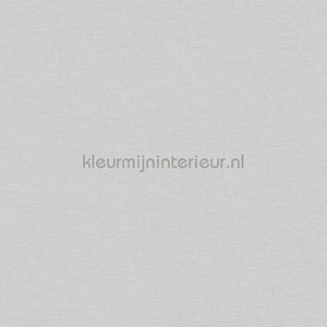 AS Creation Retro chiq 38903-2 | Bestellen bij https://www.kleurmijninterieur.nl/