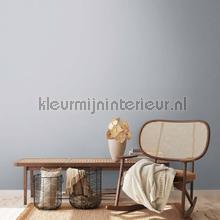 AS Creation Retro chiq 38903-2 | Bestellen bij https://www.kleurmijninterieur.nl/