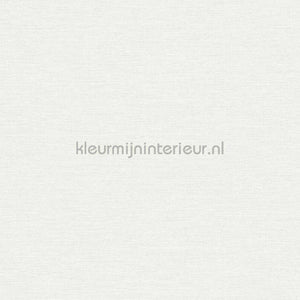 AS Creation Retro chiq 38903-3 | Bestellen bij https://www.kleurmijninterieur.nl/