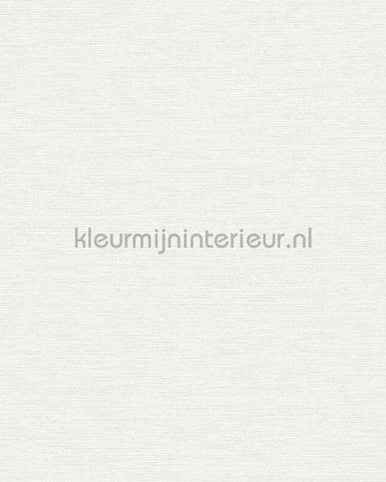 AS Creation Retro chiq 38903-3 | Bestellen bij https://www.kleurmijninterieur.nl/