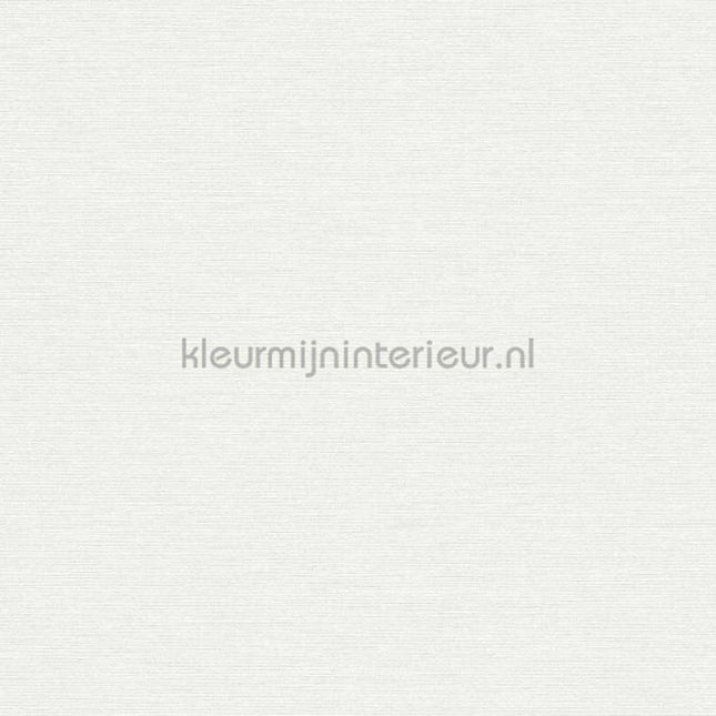 AS Creation Retro chiq 38903-3 | Bestellen bij https://www.kleurmijninterieur.nl/