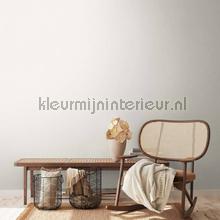 AS Creation Retro chiq 38903-3 | Bestellen bij https://www.kleurmijninterieur.nl/