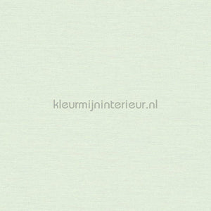 AS Creation Retro chiq 38903-4 | Bestellen bij https://www.kleurmijninterieur.nl/