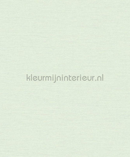 AS Creation Retro chiq 38903-4 | Bestellen bij https://www.kleurmijninterieur.nl/