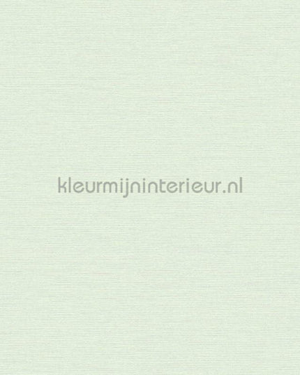 AS Creation Retro chiq 38903-4 | Bestellen bij https://www.kleurmijninterieur.nl/
