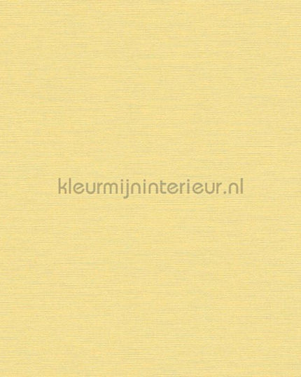 AS Creation Retro chiq 38903-6 | Bestellen bij https://www.kleurmijninterieur.nl/