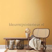 AS Creation Retro chiq 38903-6 | Bestellen bij https://www.kleurmijninterieur.nl/