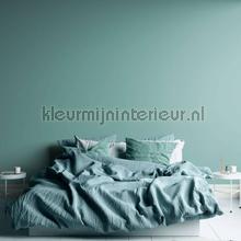 AS Creation Retro chiq 38903-8 | Bestellen bij https://www.kleurmijninterieur.nl/