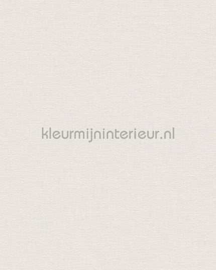 AS Creation Retro chiq 38904-3 | Bestellen bij https://www.kleurmijninterieur.nl/