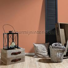 AS Creation Retro chiq 39097-3 | Bestellen bij https://www.kleurmijninterieur.nl/