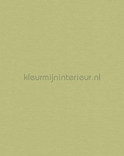 AS Creation Retro chiq 39097-4 | Bestellen bij https://www.kleurmijninterieur.nl/