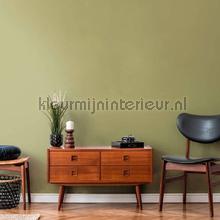 AS Creation Retro chiq 39097-4 | Bestellen bij https://www.kleurmijninterieur.nl/