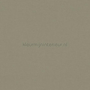 AS Creation Retro chiq 39097-5 | Bestellen bij https://www.kleurmijninterieur.nl/