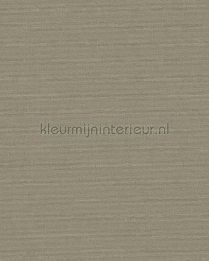 AS Creation Retro chiq 39097-5 | Bestellen bij https://www.kleurmijninterieur.nl/