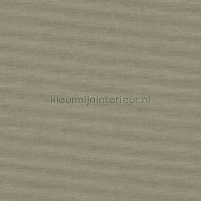 AS Creation Retro chiq 39097-5 | Bestellen bij https://www.kleurmijninterieur.nl/